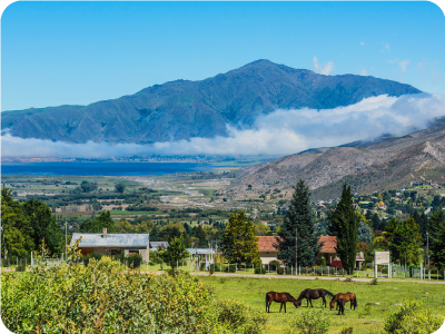 Horses grazing in a green pasture near rural houses, with a lake and misty mountains under a clear blue sky