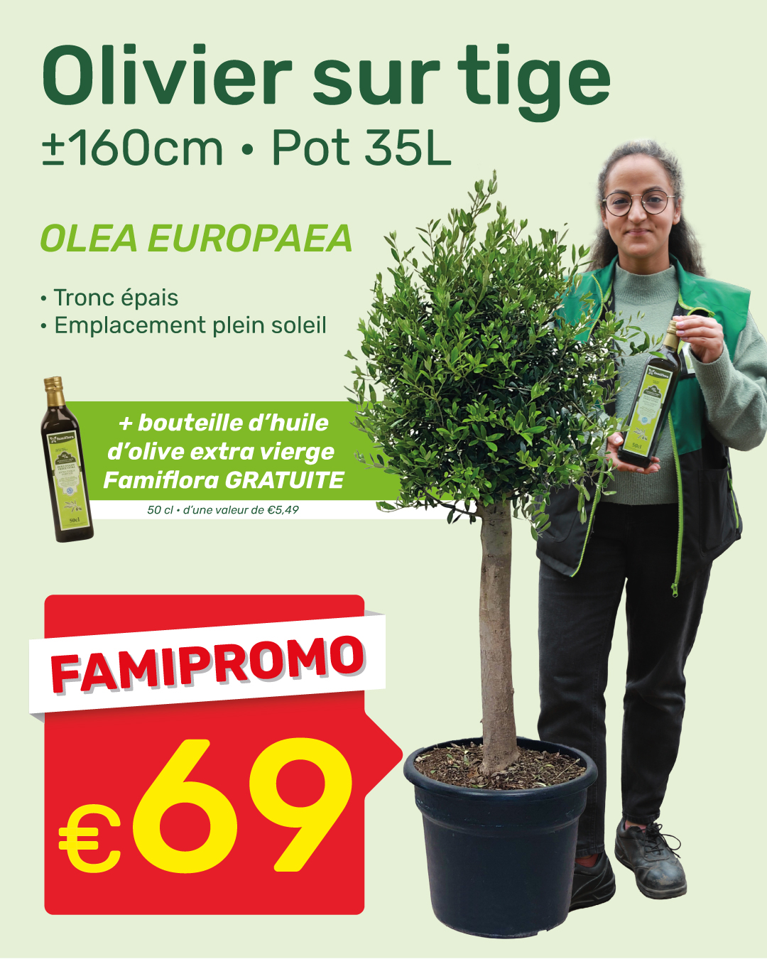 Potted olive tree (≈160cm, 35L) beside person holding a free extra-virgin olive oil bottle with promotional price €69
