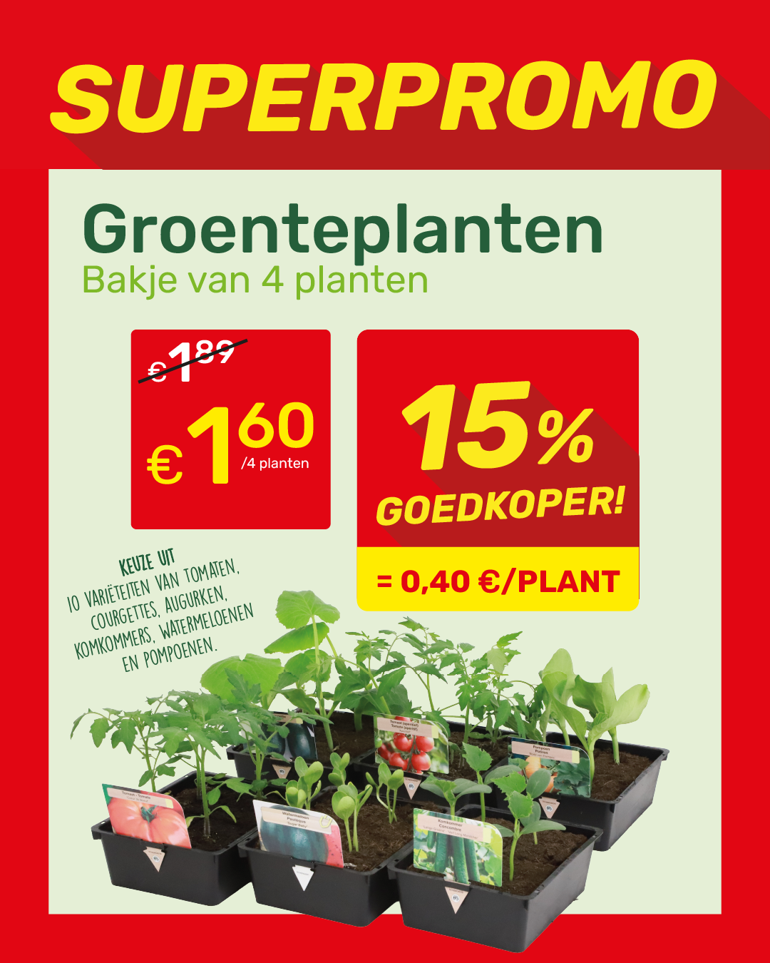 Promotional poster for vegetable plants: trays of 4 seedlings (tomato, cucumber, courgette) priced €1.60 with 15% off