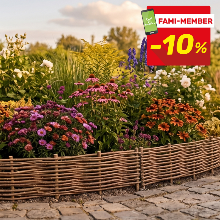 Colourful flower border with coneflowers, asters and orange daisies behind woven willow edging by cobbled path; 'Fami-Member -10%' badge