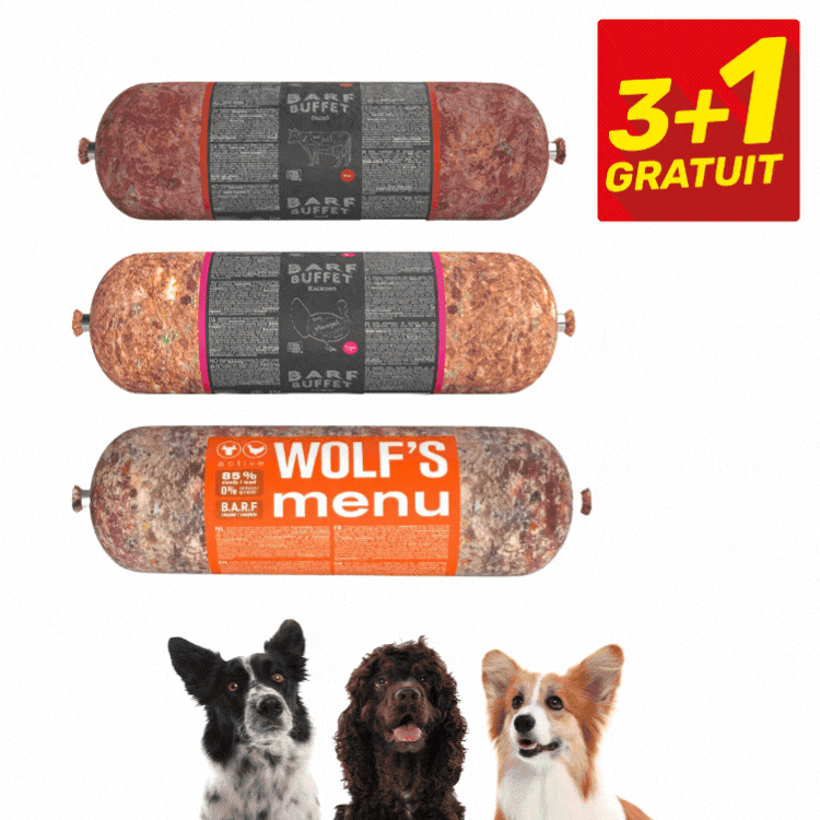 Wolf's Menu and BARF Buffet frozen raw dog food packs (sensitive, active, meat rolls) with 3+1 free offer and three dogs