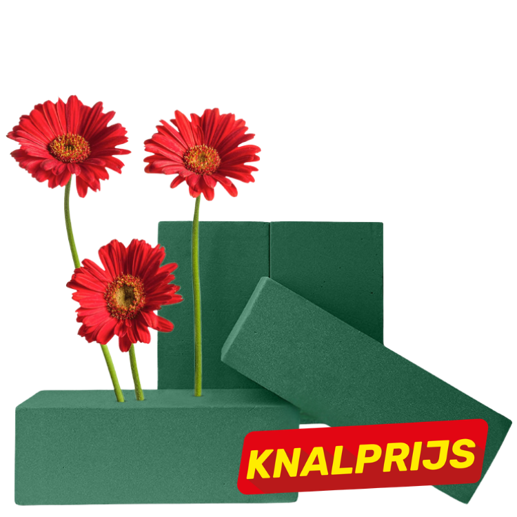 Three red gerbera daisies inserted into green floral foam blocks for flower arranging, with a red 'Knalprijs' sale sticker