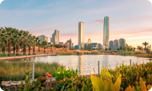 Park pond with lush foreground plants and palms, reflecting modern city skyline and twin skyscrapers at sunset