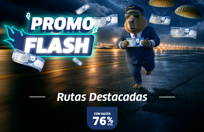 Promo Flash: capybara pilot holding banknotes as bills parachute over a night airport runway — Featured routes, up to 76% off