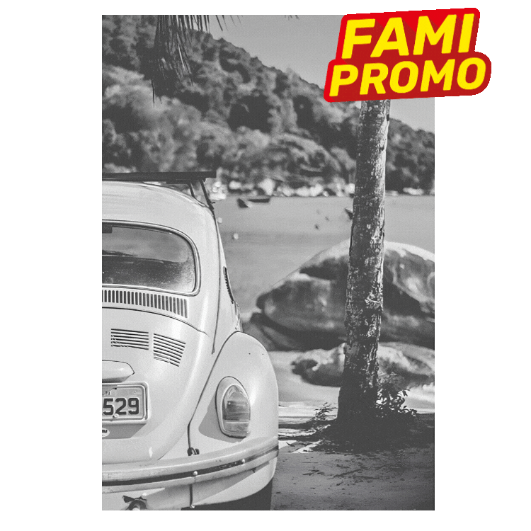 Black-and-white poster showing two vintage cars by a tropical beach with palm trees, overlaid with red-yellow 'FAMI PROMO' stickers