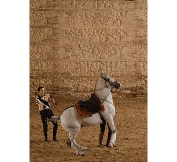 Imagen en movimiento (GIF) de dos jinetes de Cordoba Ecuestre realizando una Cabriola con uno de sus caballos.