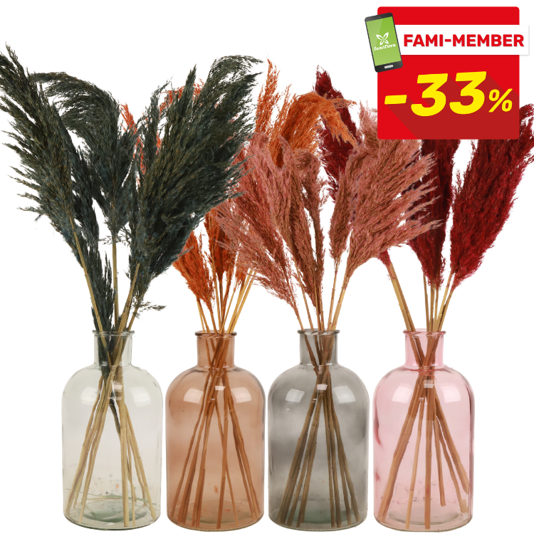 Four coloured glass vases holding dried pampas grass in green, orange, pink and red with a red "Fami-Member -33%" sale badge