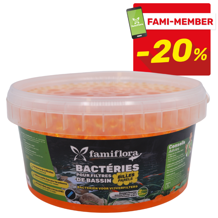 Tub of Famiflora pond filter bacteria balls in orange granules with labelled black tub and Fami-member -20% discount badge