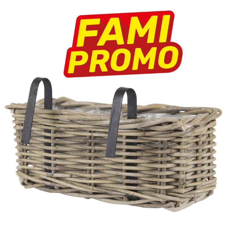 Wicker bicycle handlebar planter basket with two black metal hooks and clear plastic liner, 'FAMI PROMO' logo above