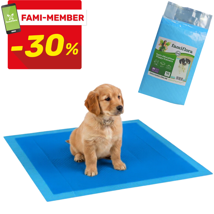 Golden retriever puppy sitting on blue Famiflora puppy training pad, product pack shown; Fami-member 30% off badge