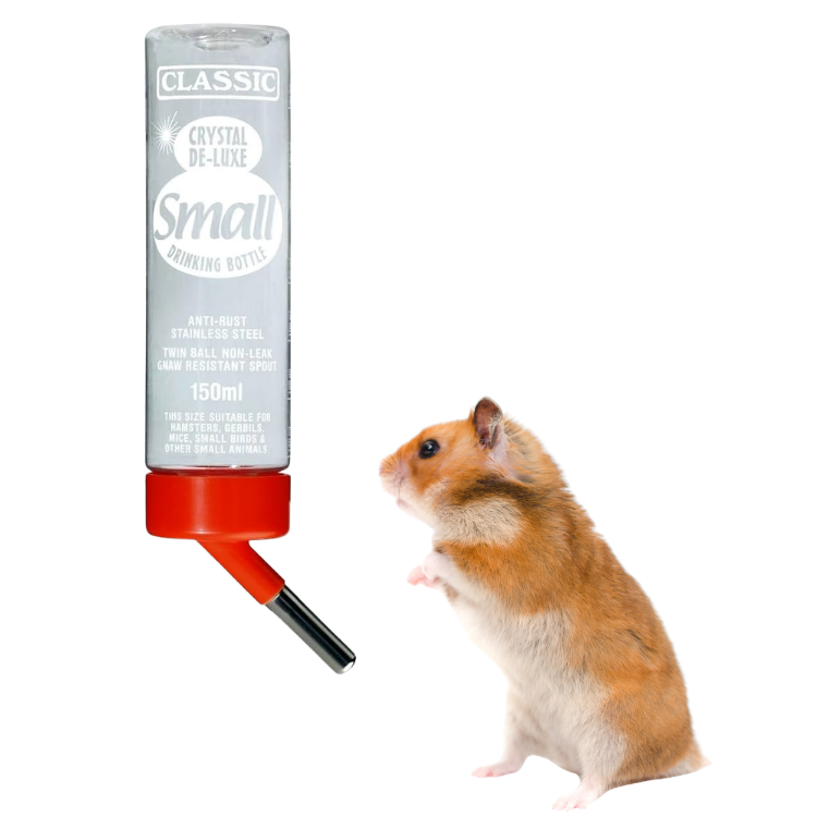 Brown and white Syrian hamster standing on hind legs beside a 150ml Classic Crystal De-Luxe small drinking bottle with red nozzle