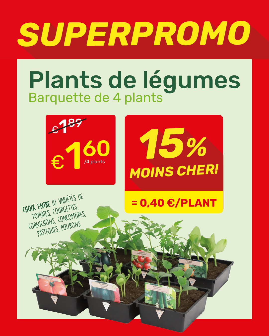 Promotional poster: 'SUPERPROMO' vegetable plant trays (pack of 4 seedlings), price €1.60, 15% off, approx €0.40 per plant