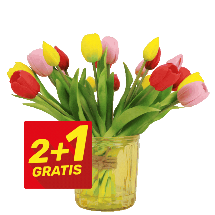 Mixed red, yellow and pink tulips in a glass jar and matching hand-tied bundles arranged in a circle, promotional label '2+1 gratis'