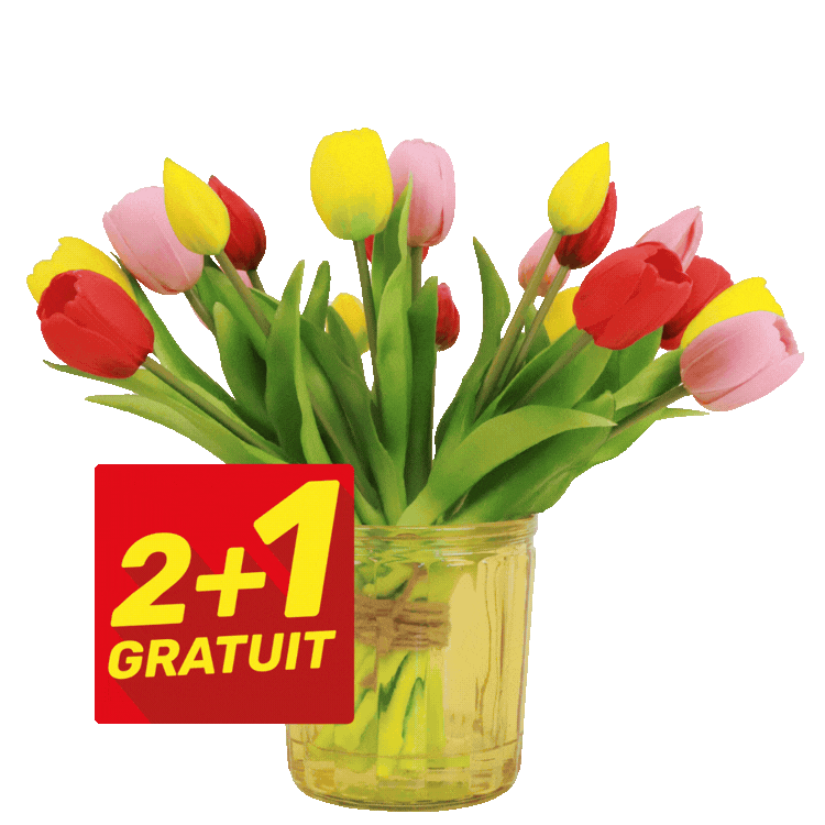 Mixed pink, red and yellow tulips in a glass jar and bundled bouquets arranged in a circle, red "2+1 Gratuit" sale sticker