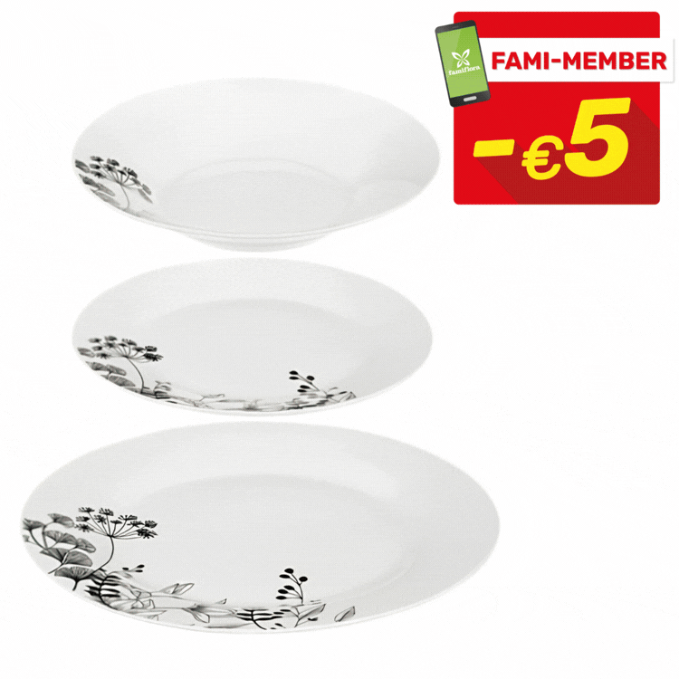 Six sets of three patterned white dinner plates (black floral, red poppy, green leaf, grey stripe) displayed with red FAMI-MEMBER -€5 sale badges