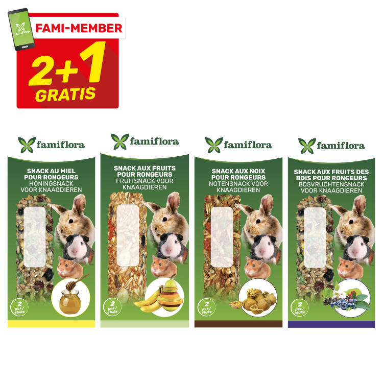 Famiflora rodent snack packets (4 flavours) with rabbit, guinea pig and hamster, seed bars and 'Fami‑Member 2+1 Gratis' label