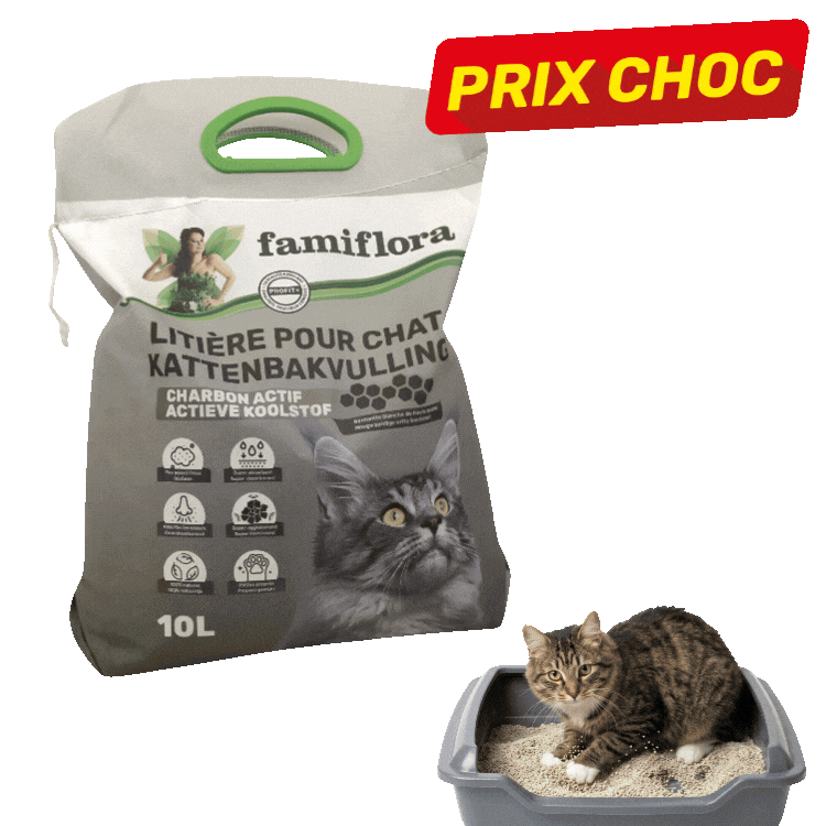 Two 10L Famiflora cat litter bags and three tabby cats using litter trays with red 'Prix Choc' promotional banners