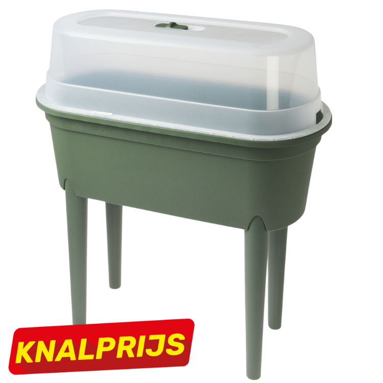 Elevated green plastic planter with legs and clear domed propagation lid for seed starting and small greenhouse, indoor/outdoor use