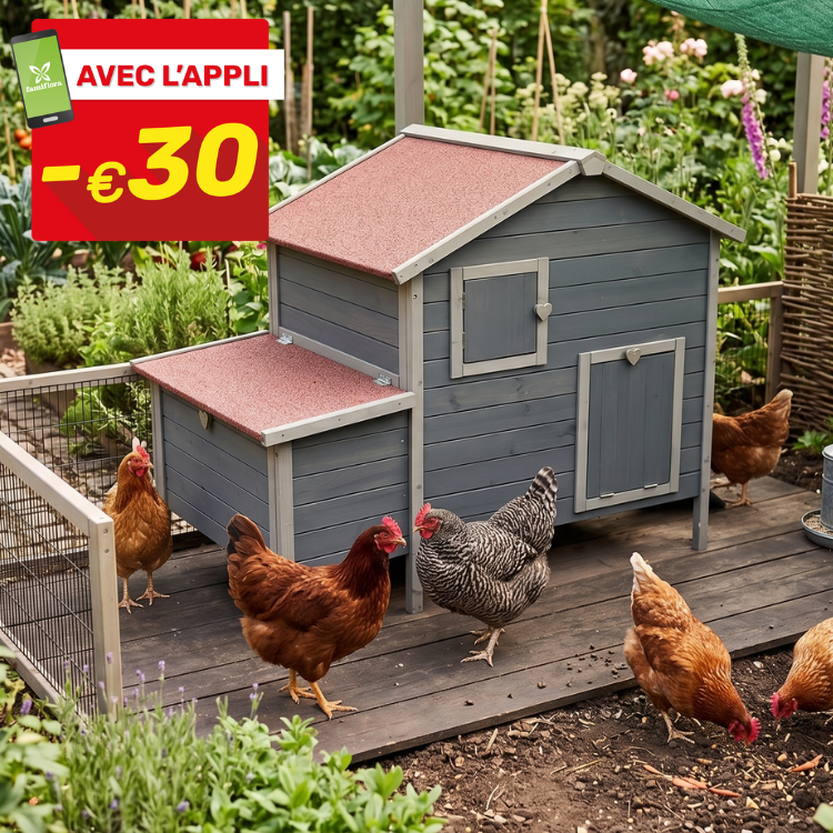Grey wooden chicken coop on garden decking with five free-range hens foraging; red top-left label shows '-€30' app discount