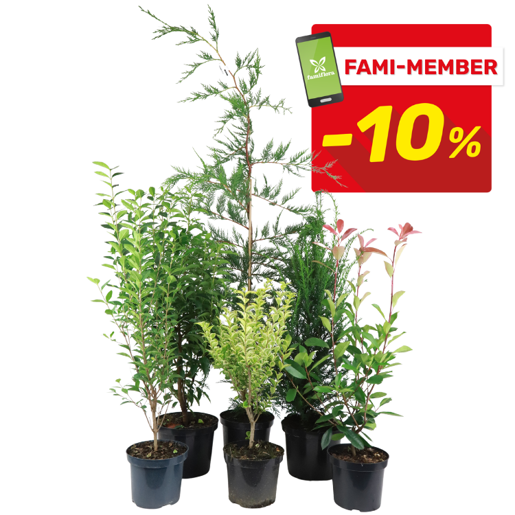 Mixed potted garden shrubs and small trees in black pots on white background with red 'Fami-Member -10%' discount badge