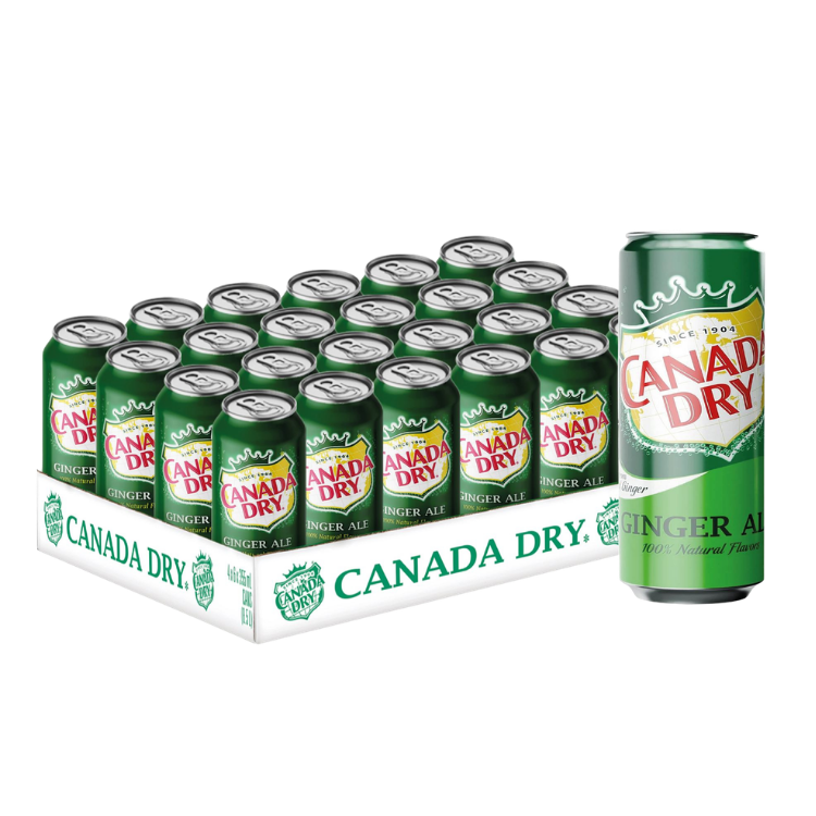 Pack of 24 Canada Dry Ginger Ale cans in green branded tray with one can displayed to the right
