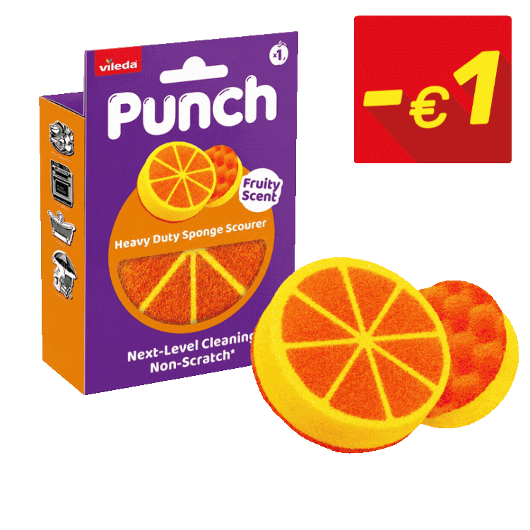 Assortment of Punch fruit-shaped cleaning sponges (orange, lemon, apple) with colourful packaging and red €1 price tags
