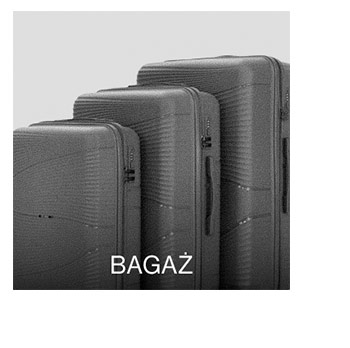 bagaż