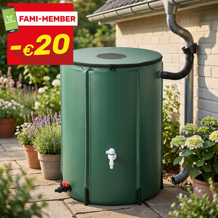 Green rainwater barrel with tap connected to house gutter in sunny garden, potted plants, Fami-Member €20 discount badge