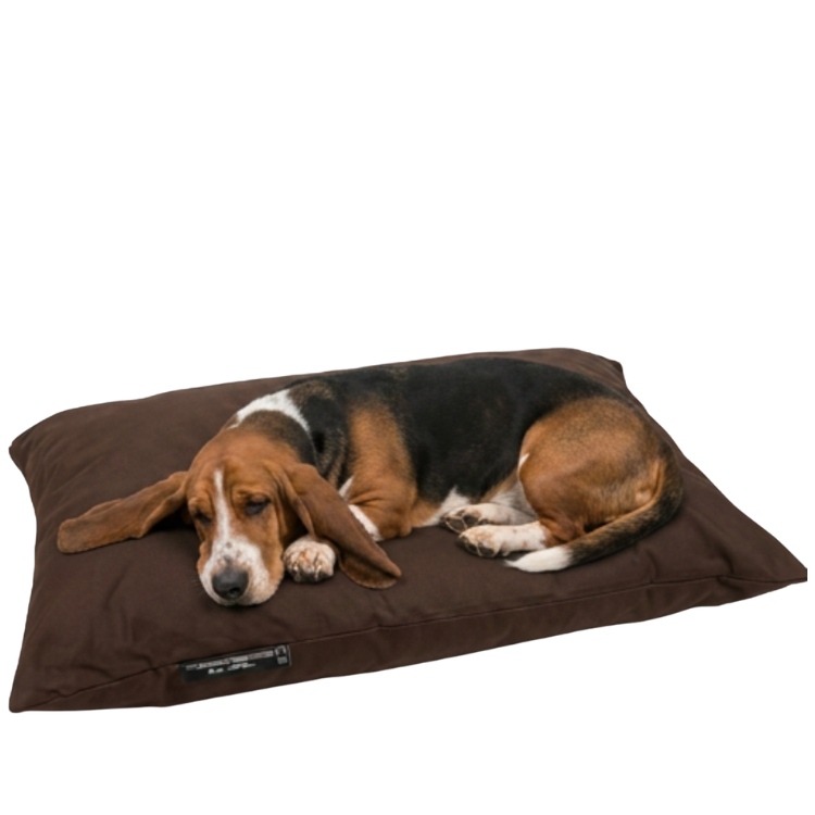 Beagle dog resting on a brown rectangular dog bed, curled up and sleeping on a white background