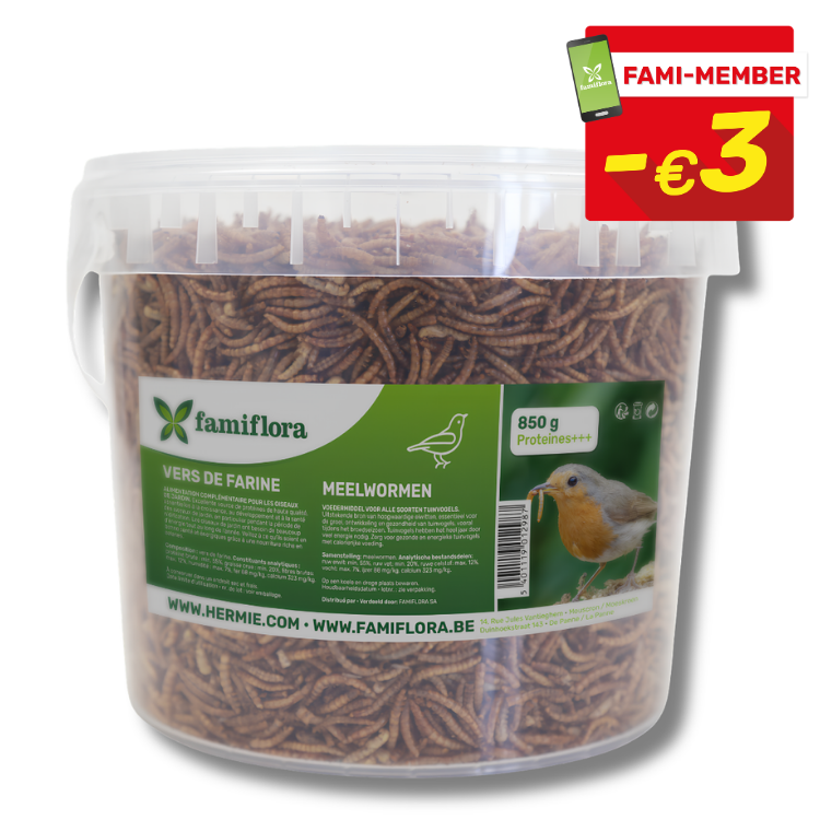 Tub of Famiflora 850 g dried mealworms for wild birds in clear plastic container with Fami‑Member promotional −€3 sticker