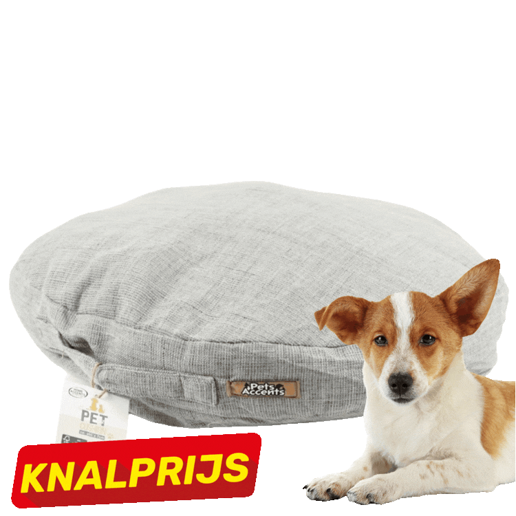 Jack Russell dog lying beside round grey and beige linen dog beds — circular pet cushions for small dogs, sale price label