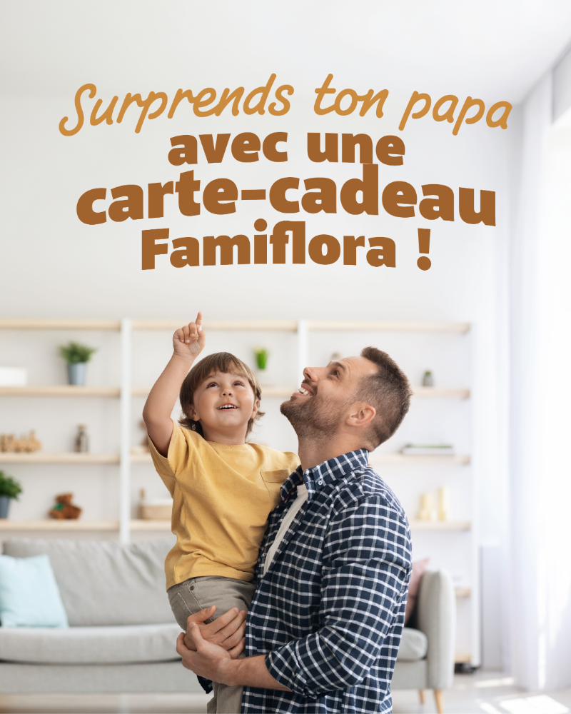 Father holding young son at home, son pointing up; French promo text: 'Surprends ton papa avec une carte-cadeau Famiflora!'
