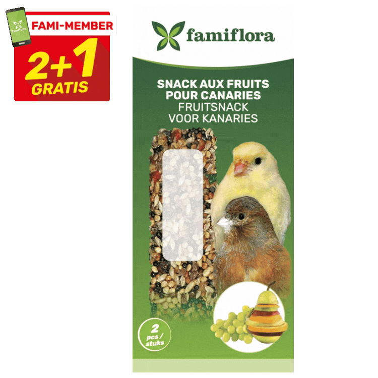 Famiflora canary seed snack bars (fruit, hazelnut, honey) pack with 2+1 gratis promo — canaries and seed sticks visible