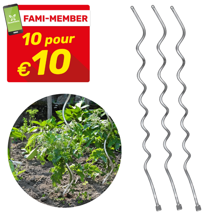 Pack of 3 metal spiral tomato stakes in a garden, inset FAMI-MEMBER '10 pour €10' promo label