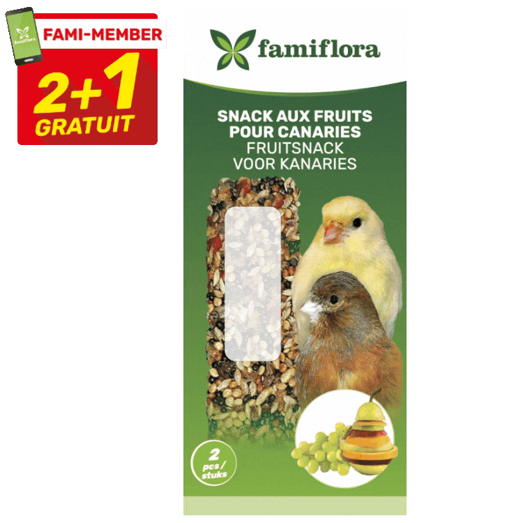Famiflora 2+1 free canary snack bars pack showing honey, hazelnut and fruit flavours with images of yellow and brown canaries