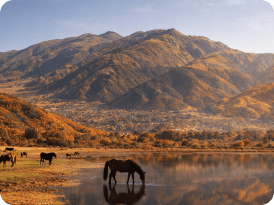 Horses grazing and drinking at a reflective pond with golden autumn foothills and mountains beyond