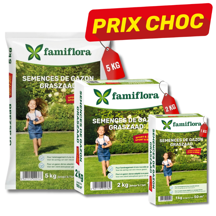 Famiflora lawn seed packs 1kg, 2kg and 5kg on green packaging showing child on lawn and red 'PRIX CHOC' sale tag