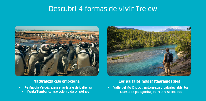 Promotional banner for Trelew tourism: penguin colony at Punta Tombo and a hiker by the turquoise Chubut River in Patagonian forest