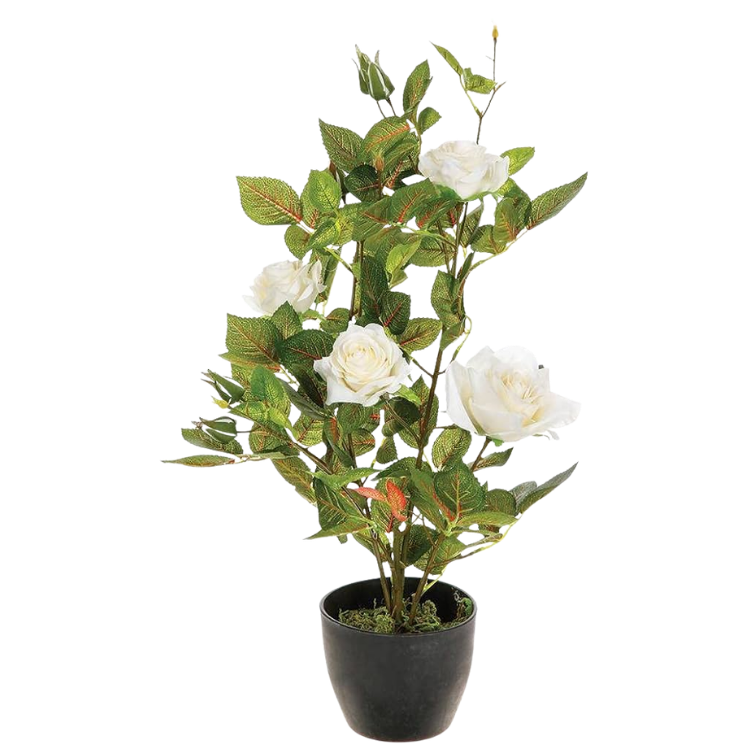 Artificial potted white rose plant in black pot with green leaves – decorative indoor faux rose arrangement