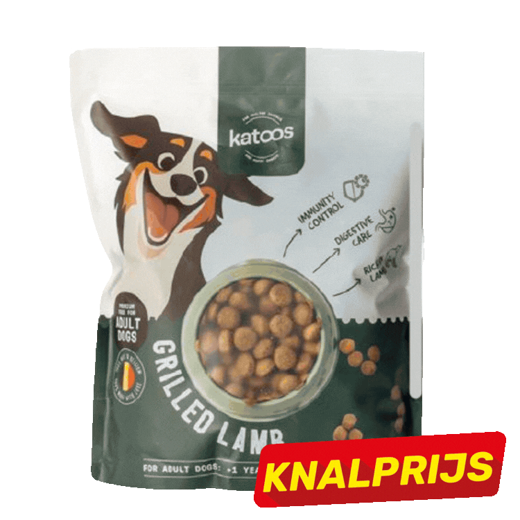 Four Katoos dog kibble packs (grilled lamb, smoked salmon, roasted and superb chicken) with red KNALPRIJS sale tags