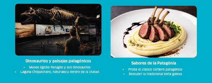 Split image: museum dinosaur skeleton with a visitor on the left; plated rack of lamb with mashed potato and sauce on the right