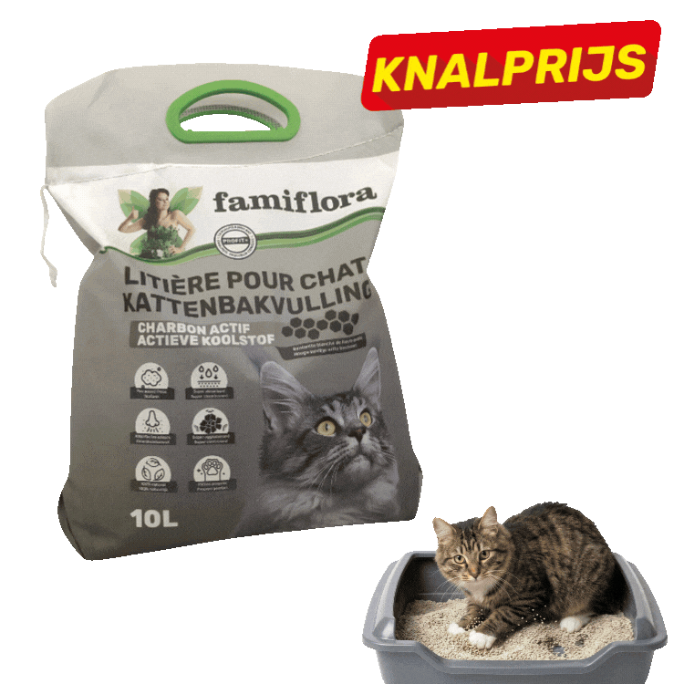Two 10L Famiflora cat litter bags and three tabby cats in litter trays with red 'Knalprijs' sale labels