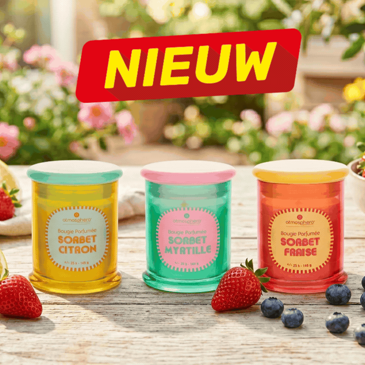 Rows of colourful sorbet jars (blueberry, lemon, strawberry) with fresh berries and 'Nieuw' labels in a garden setting