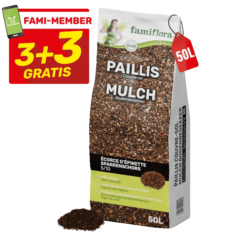 Three 50L Famiflora bags of garden mulch and wood chips (pine bark, coloured chips) with '3+3 gratis' promotional tags
