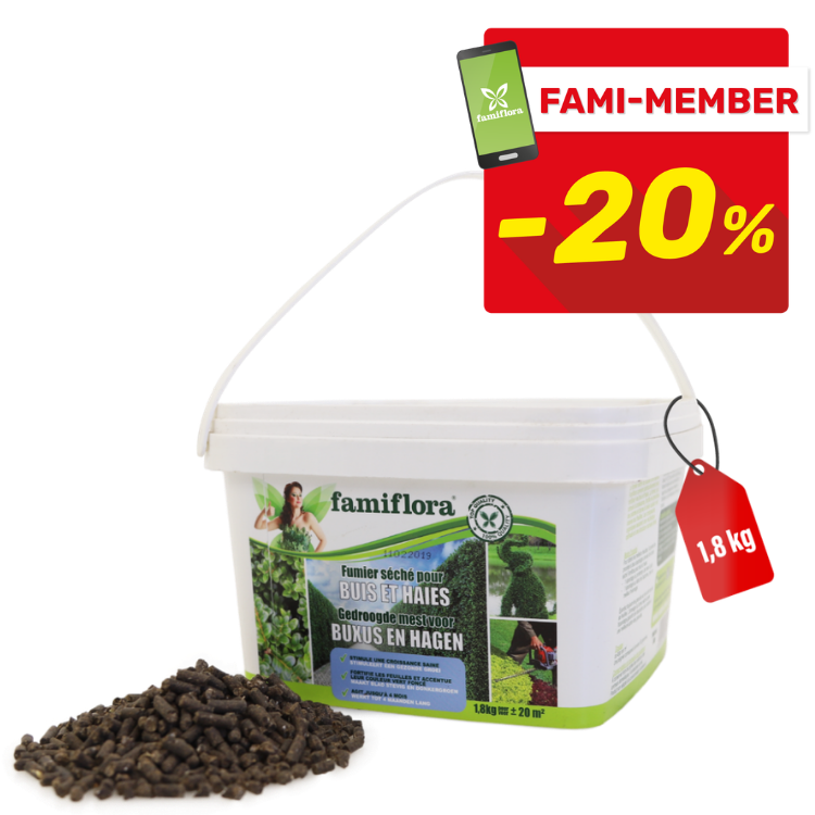 Famiflora 1.8 kg bucket of dried fertiliser pellets for boxwood and hedges, with -20% FAMI-MEMBER badge