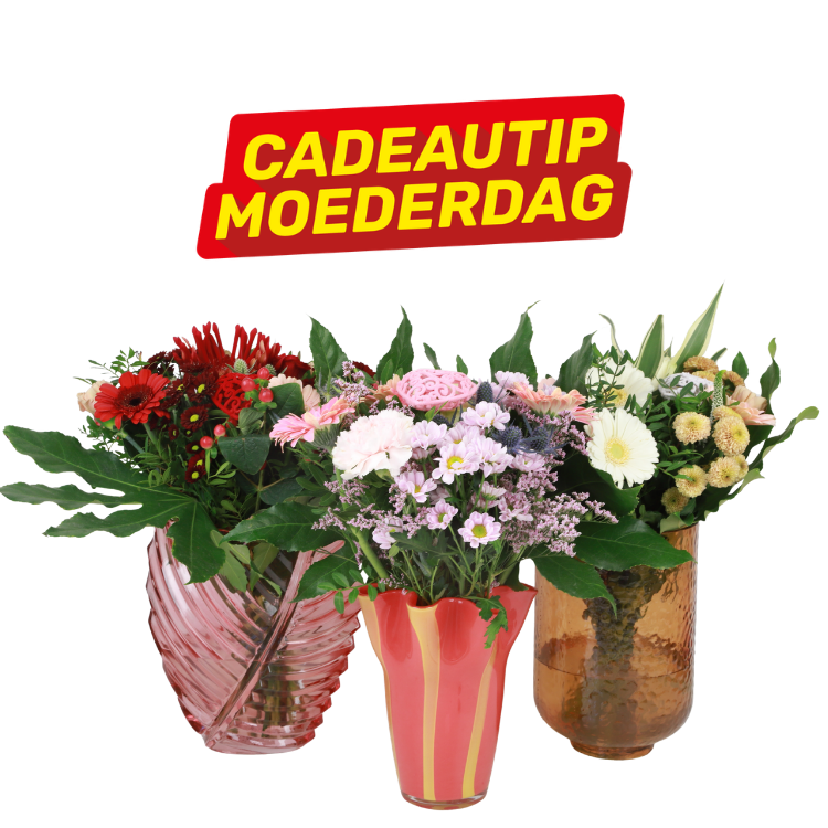 Three colourful Mother’s Day bouquets in decorative glass vases with a 'Cadeautip Moederdag' promotional banner