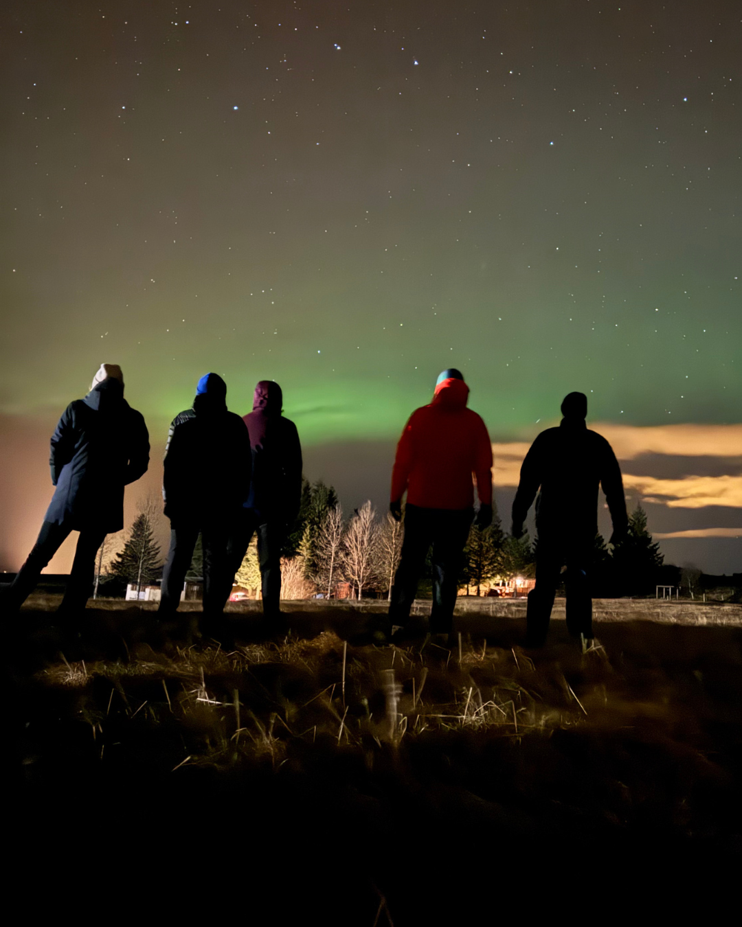 Five silhouetted figures on a field watching green northern lights and stars above trees and distant houses at night