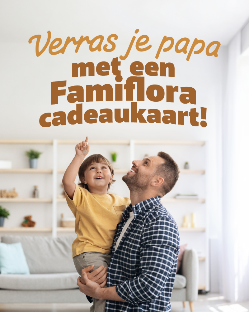Father holding son in bright living room as child points up; Dutch promo text about surprising dad with Famiflora gift card