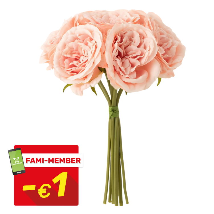 Bouquet of pale pink roses with long green stems on white background, retail product photo with red 'FAMI-MEMBER -€1' discount badge