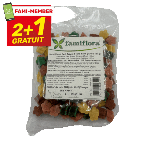 Nine Famiflora assorted soft pet treat packets with red 'Fami-Member 2+1 Gratuit' promotional labels on white background